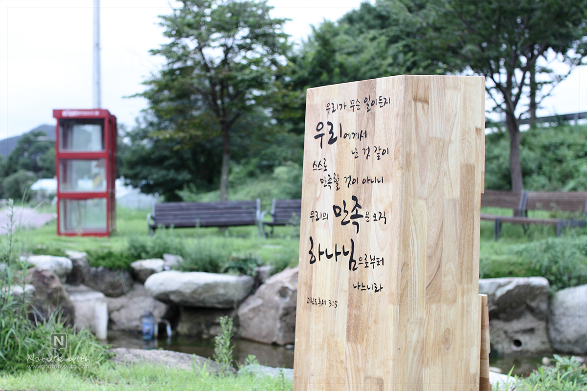 네이처위드